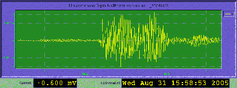 Picture. Select this link for a view of the current data acquisition reading from the seismometer.
