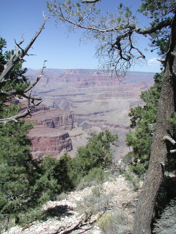 picture, little trip to the Grand Canyon of Arizona.