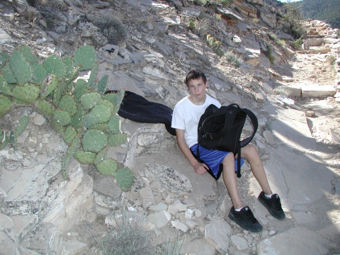 picture, little trip to the Grand Canyon of Arizona. Dripping spring trail.