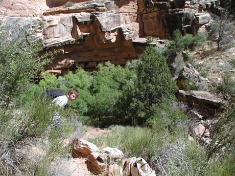 picture, little trip to the Grand Canyon of Arizona. Dripping spring trail.