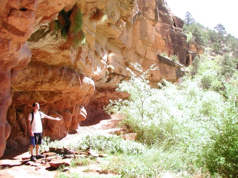 picture, little trip to the Grand Canyon of Arizona. Dripping spring trail.