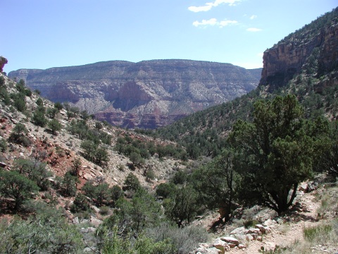 picture, little trip to the Grand Canyon of Arizona. Dripping spring trail.