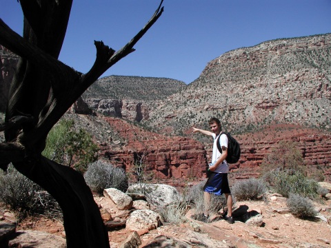 picture, little trip to the Grand Canyon of Arizona. Dripping spring trail.