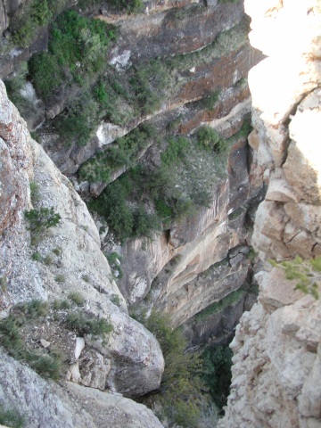 picture, little trip to the Grand Canyon of Arizona. Dripping spring trail.