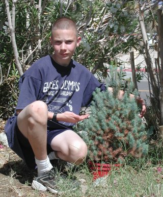 Matthew with our little 2001 Christmass tree, planted in the garden.