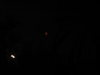 picture, lunar eclipse of 2003/05/15.