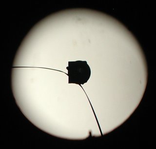 picture, lunar eclipse of 2003/05/15.